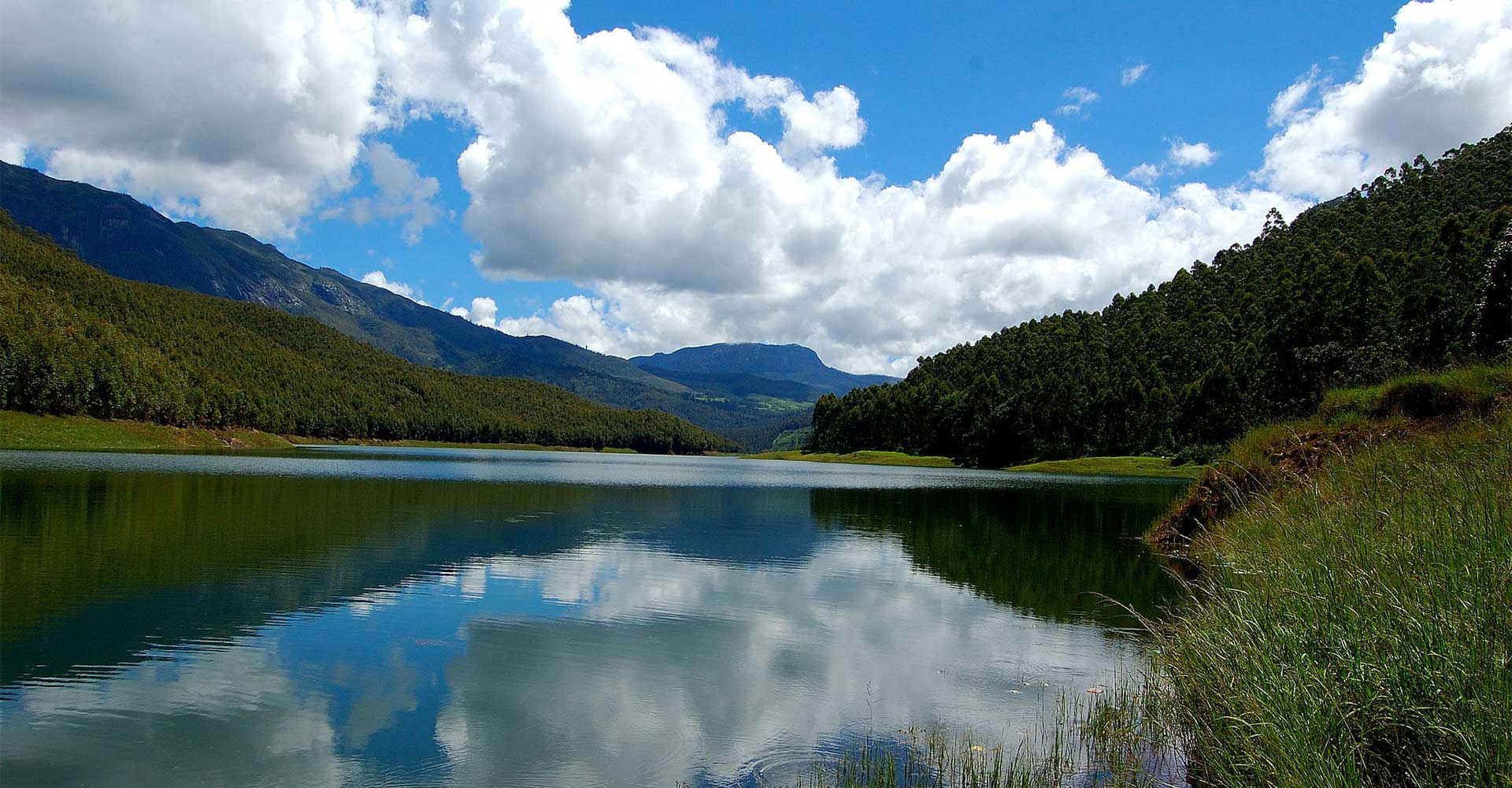 Munnar Tour Packages